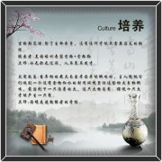 发动机生产装配线博冠体育(发动机装配线参观